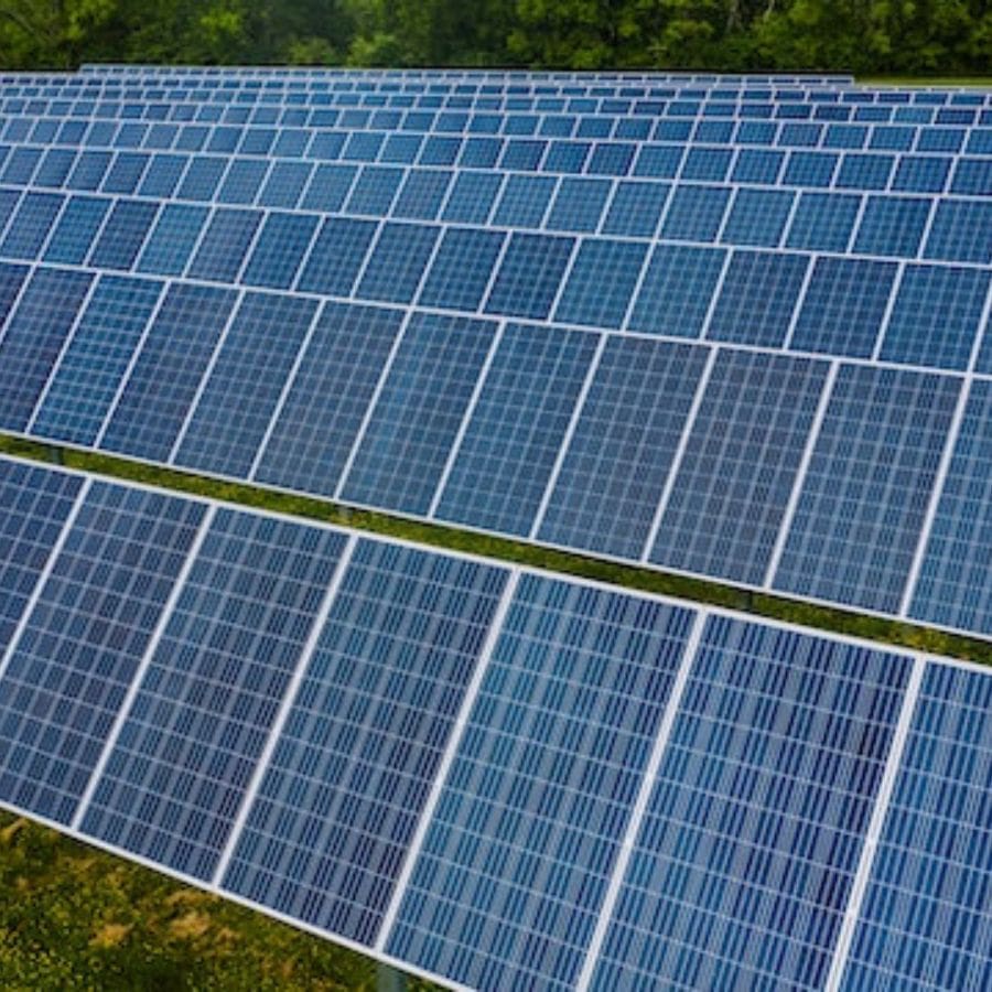 rows of solar panels